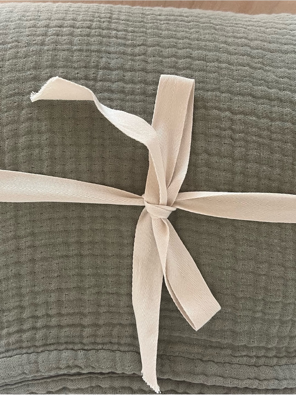 Silk & Snow Muslin Cotton Coverlet King Eucalyptus NWOT
